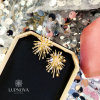 Aretes fireworks