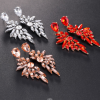 Aretes colgantes de alas largas all