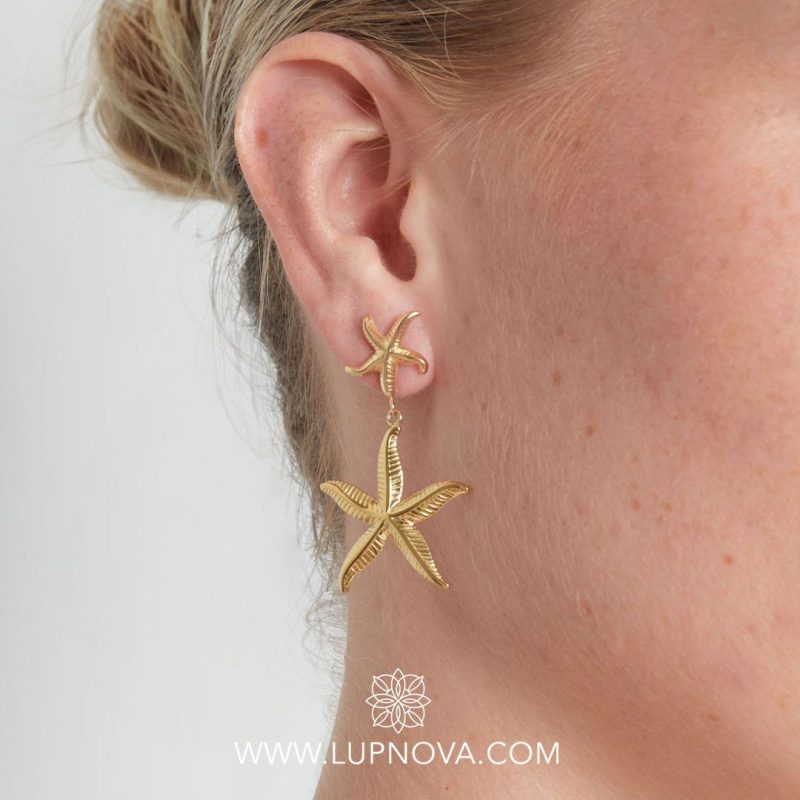 Aretes sea star - Imagen 2