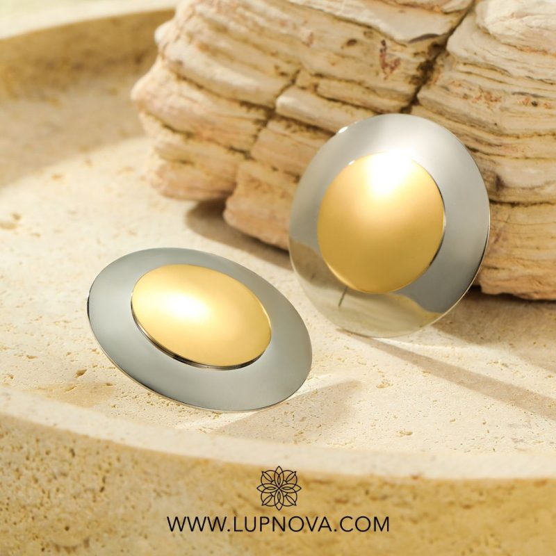 Aretes steel shield - Imagen 4