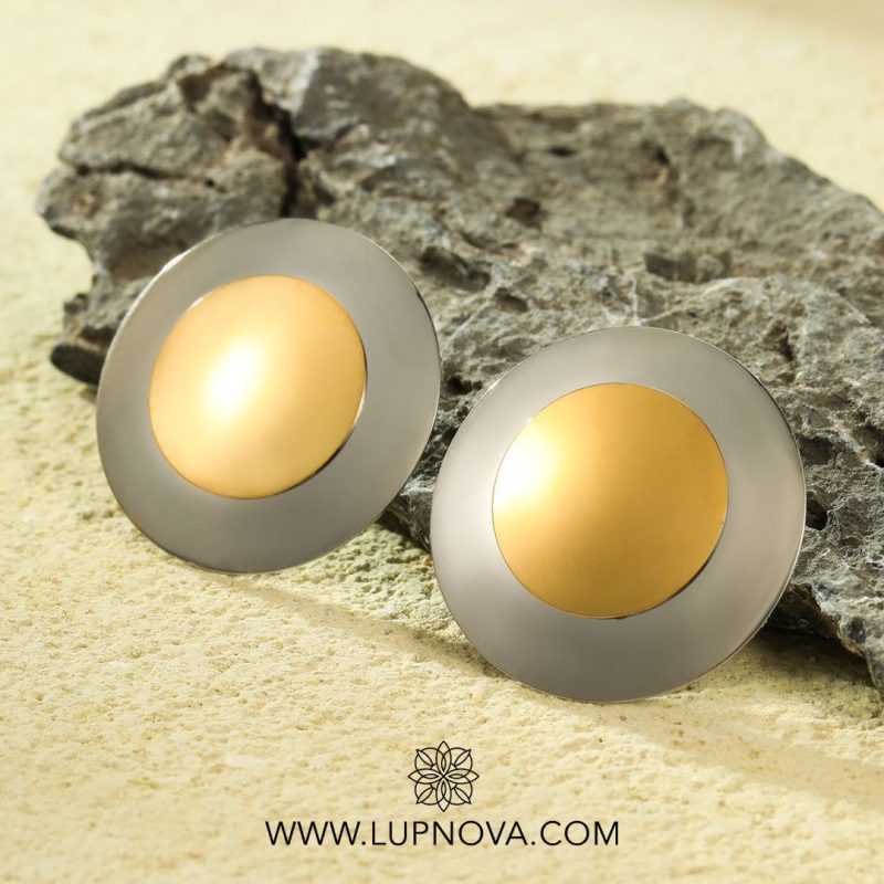 Aretes steel shield - Imagen 5