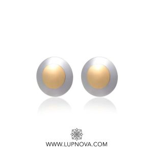 Aretes steel shield