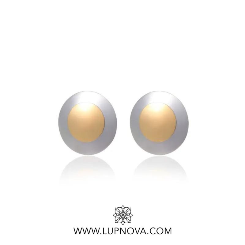 Aretes steel shield