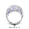 Anillo Gliese - Imagen 5